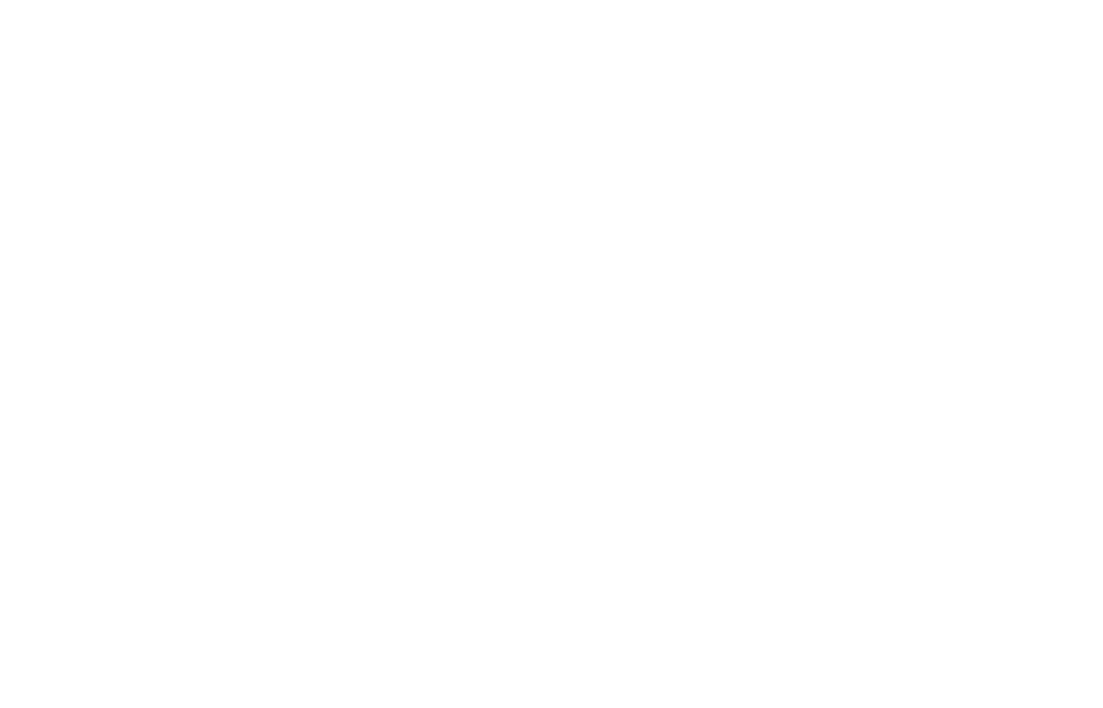 Revolution Safes