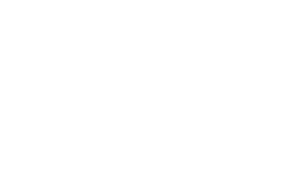 Revolution Targets